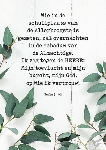 Productafbeelding: voorkant van Kaart wie in de schuilplaats