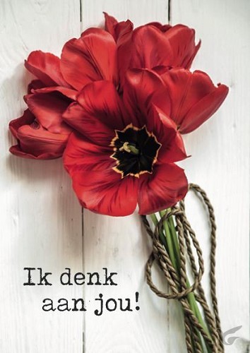 Productafbeelding: voorkant van Kaart ik denk aan jou